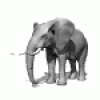 Animations - 080